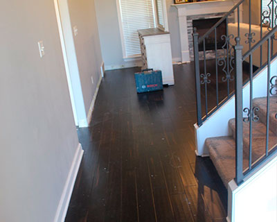 Our Gallery