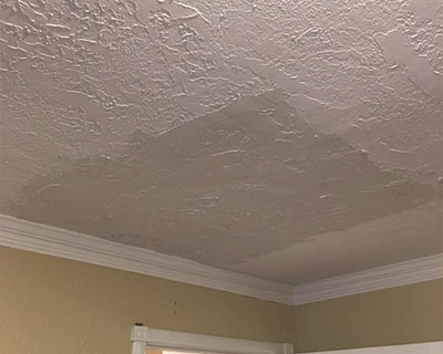 Our Gallery